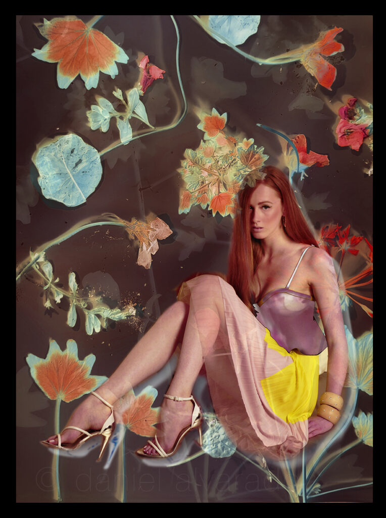 Lumen Print Depicting  Original Model cut outs exposed over botanical Using alternative 1800s invention. Silver Gelatin fibre base paper. By Toronto Art celebrity Photographer Daniel Alvarado